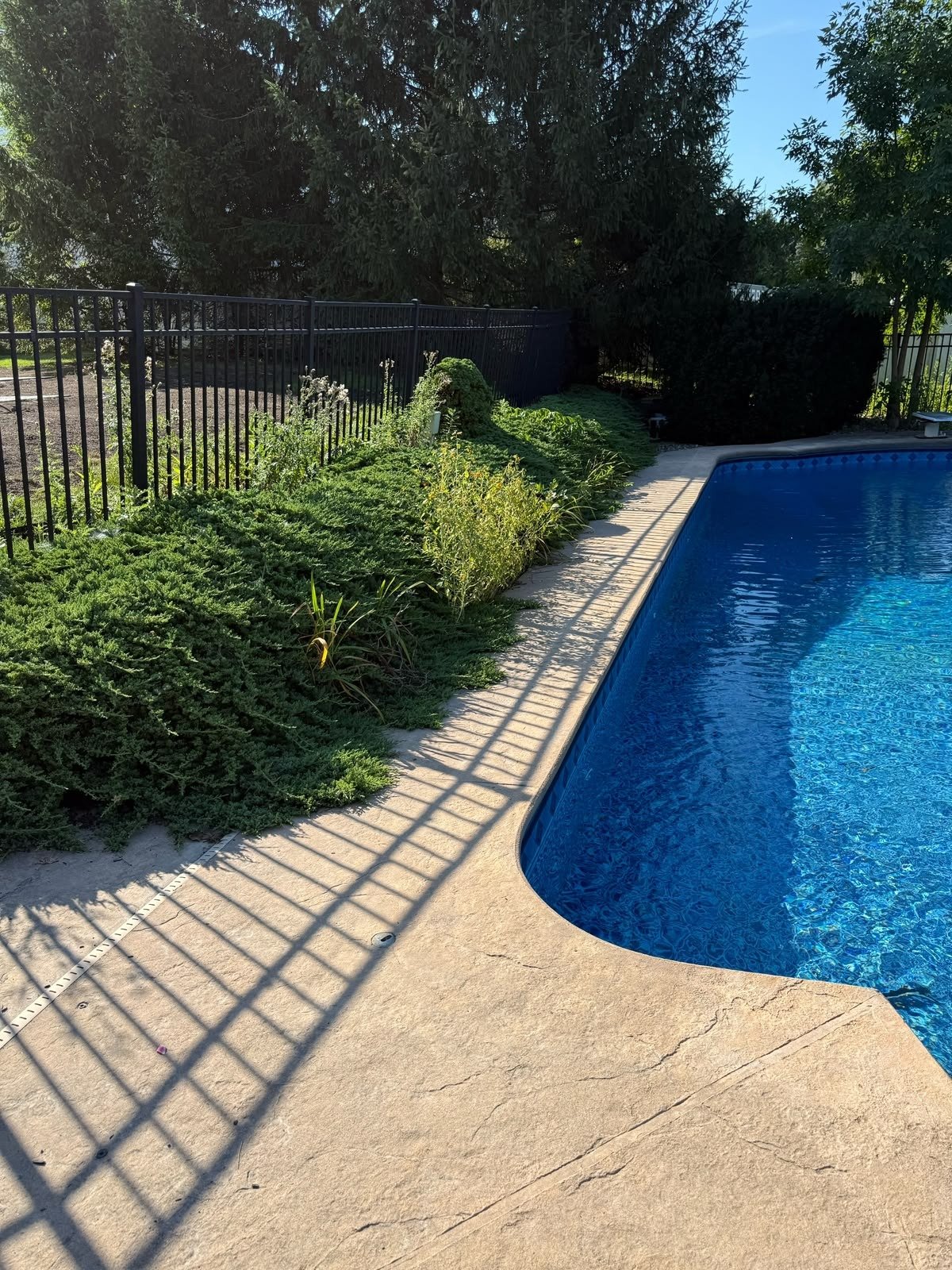 Before landscaping project 5