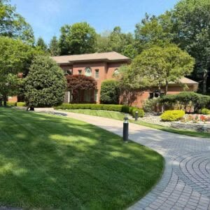 Garden and design landscaping project